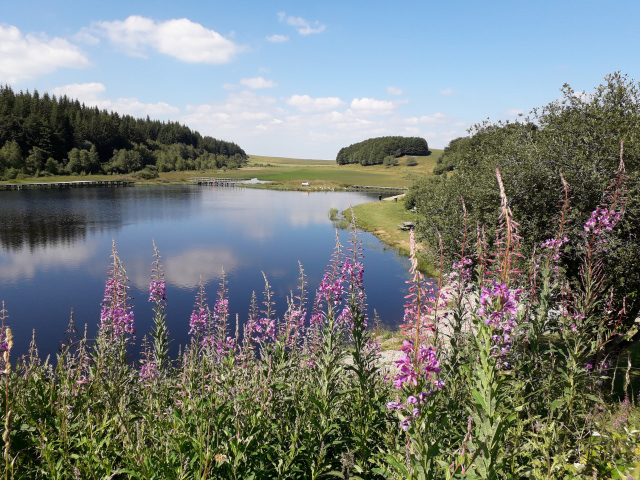 vacances en aubrac