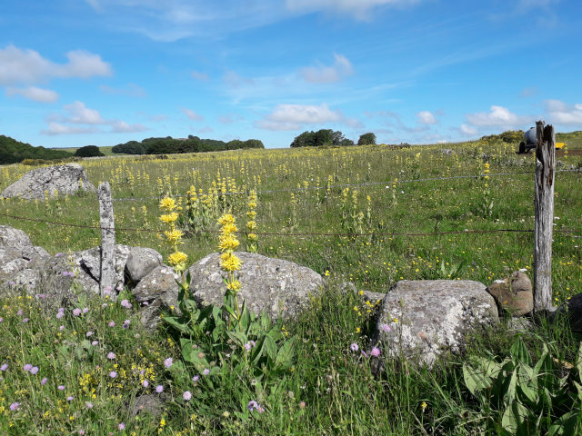 location chambre d'hôtes laguiole